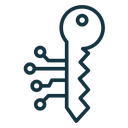 Digital key icon