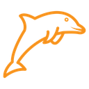 Dolphin icon