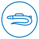 Eel icon