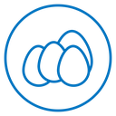 Egg icon