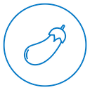 Eggplant icon
