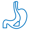 Endoscopy icon