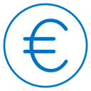 Euro icon