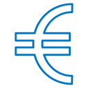 Euro icon