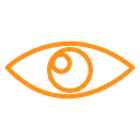 Eye icon