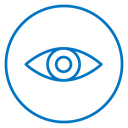 Eyes icon