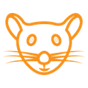 Face of mouse icon