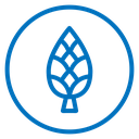 Fir cone icon