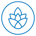 Fir cone icon