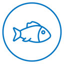 Fish 2 icon