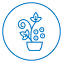 Flowering Houseplant icon