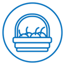 Fruit basket icon