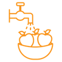 Fruits Washing icon