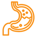 Gastritis icon