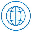 Globe icon