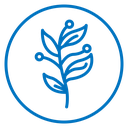 Golden Wattle icon