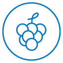 Grape icon