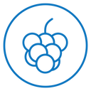 Grape icon