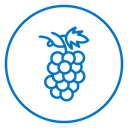 Grape 2 icon