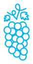 Grape icon