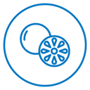 Grapefruit icon