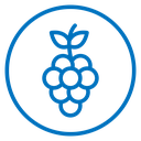 Grapes Color Outline icon