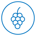 Grapes icon