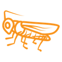 Grasshopper icon