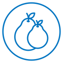 Guava icon