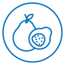 Guava icon