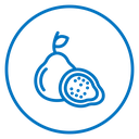 Guava Fruit Color Outline icon