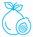 Guava icon