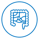 Gut icon