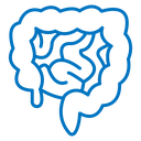 Gut icon