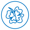 Hawaiian flower icon