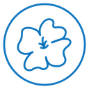 Hawaiian flower icon