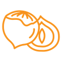 Hazelnut icon