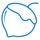 Hazelnut icon