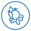 Healthy food icon