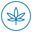 Hemp Leaf Color Outline icon