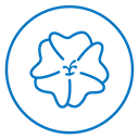 Hibiscus Bloom icon