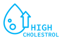 High cholesterol icon