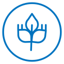 High fiber food icon