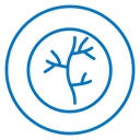 Human artery icon