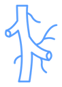 Human artery icon