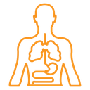 Human body anatomy icon