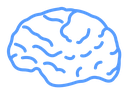 Human brain Color Outline icon