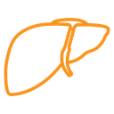 Human liver icon