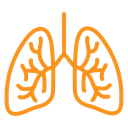Human lungs icon