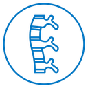 Human spine icon